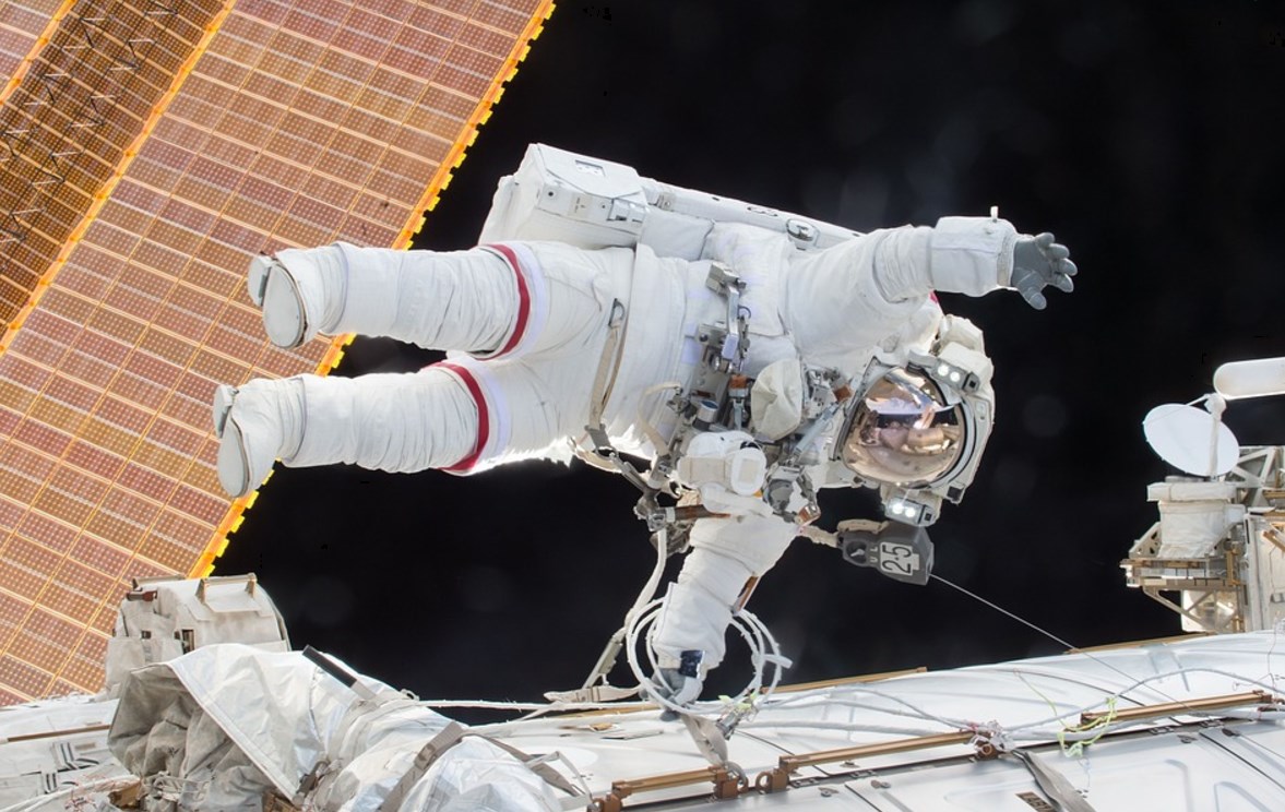 Après un séjour dans l’espace, Monsieur le ver s’est offert une nouvelle tête