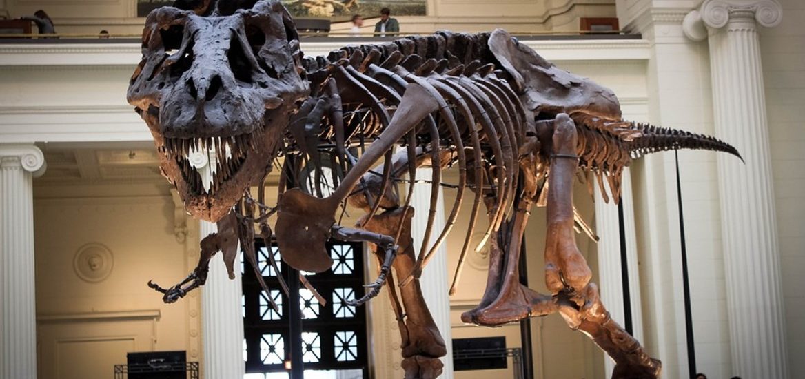 T-Rex