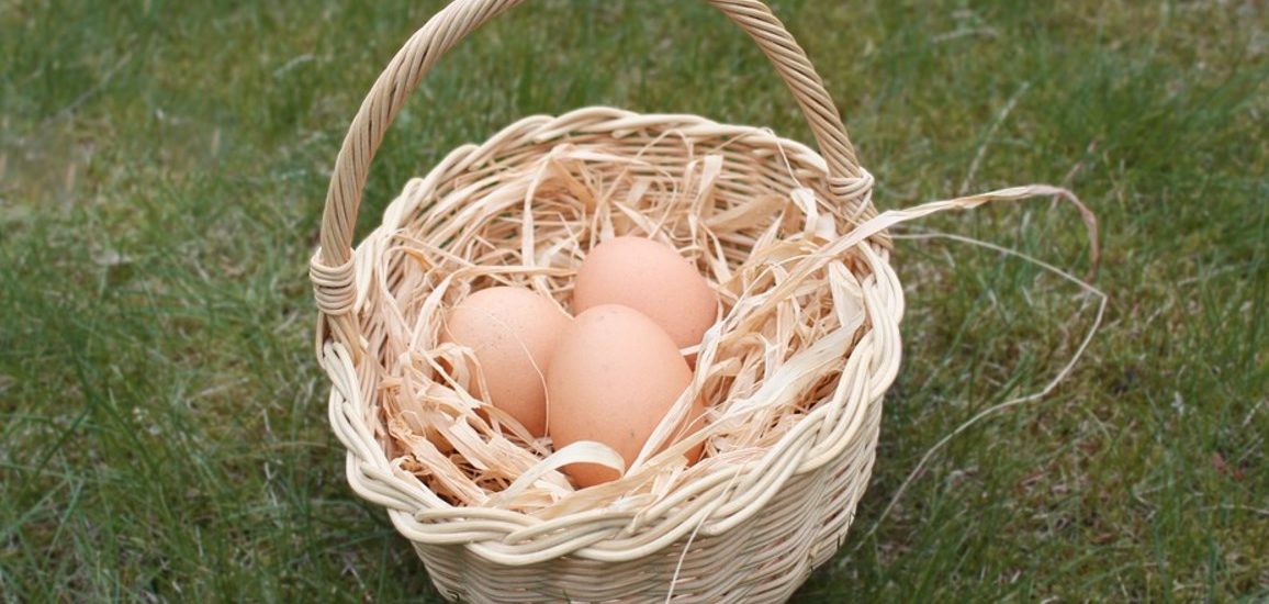 Oeufs