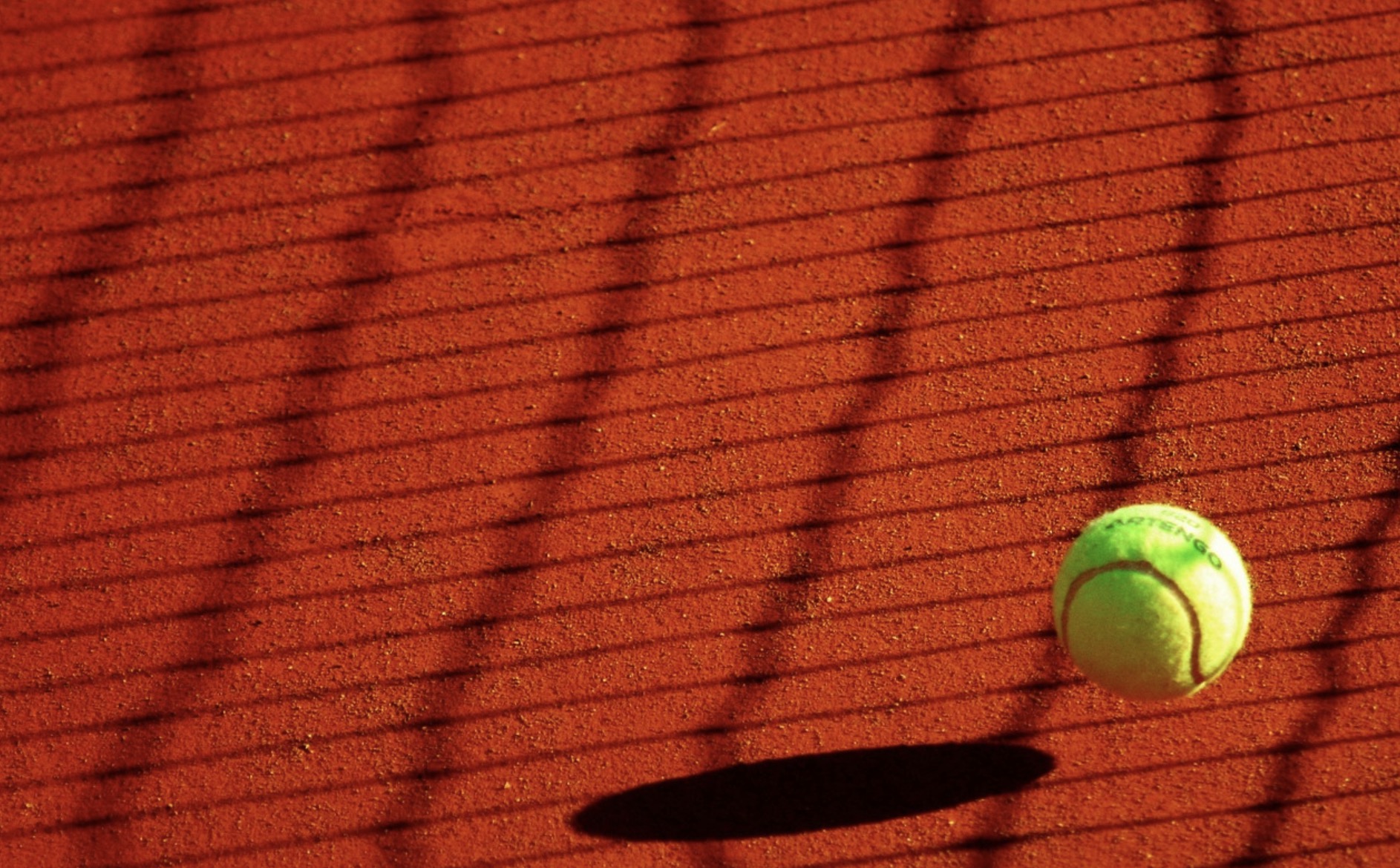 Surprise ou pas, Tsonga ne sera pas à Roland Garros