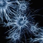 Maladie d’Alzheimer : une modification du cerveau observée dès 40 ans