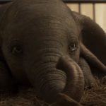 Dumbo, un cri d’alarme pour dénoncer la maltraitance des animaux