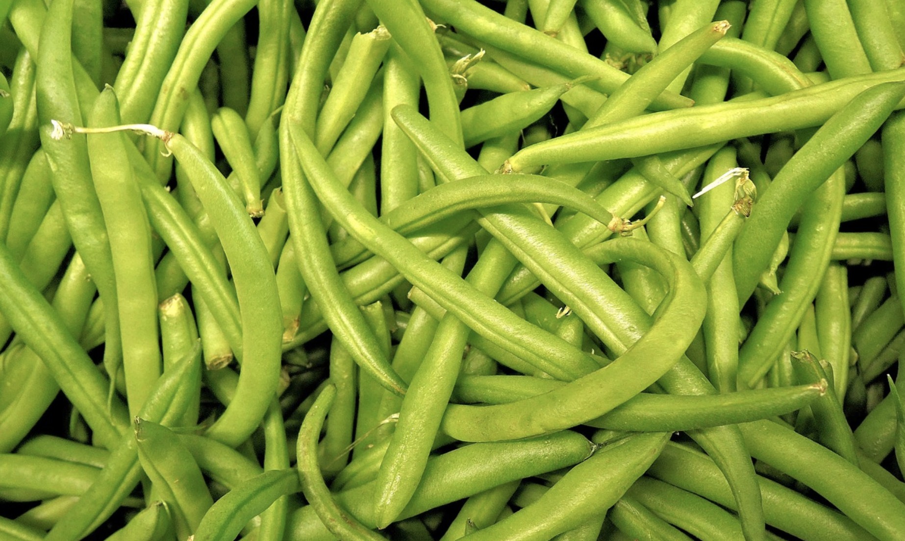 Les haricots verts