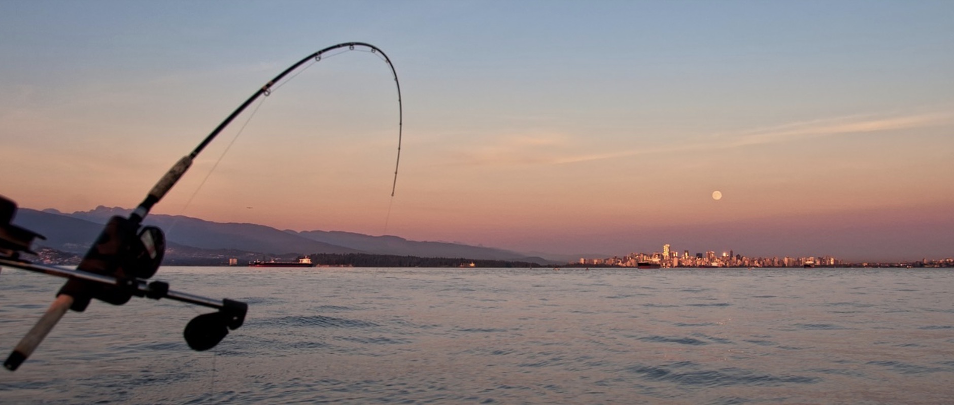 Un poisson-lune de plus d’un mètre quatre-vingt échoué sur une plage australienne