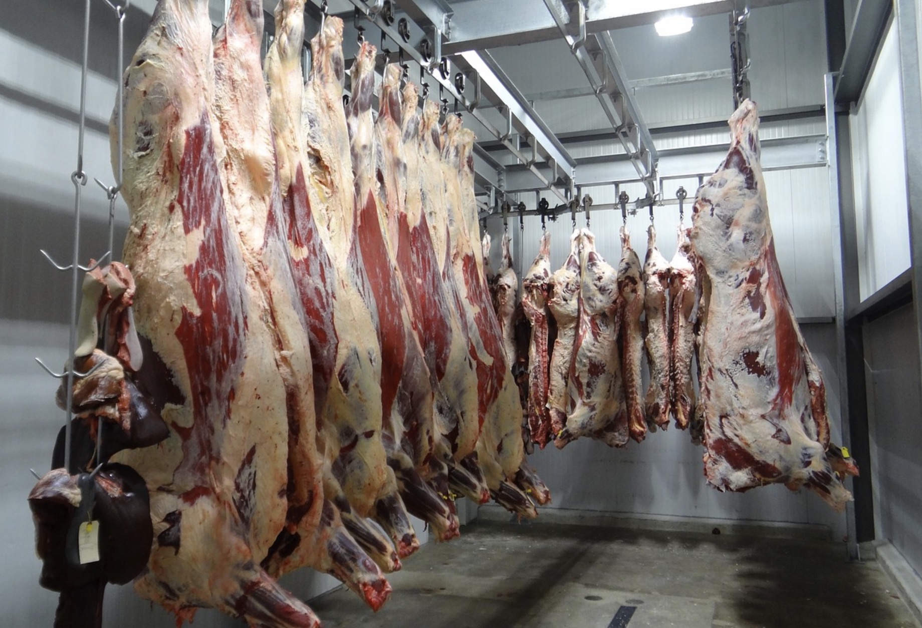 Abattoir d’Alès, une condamnation décevante