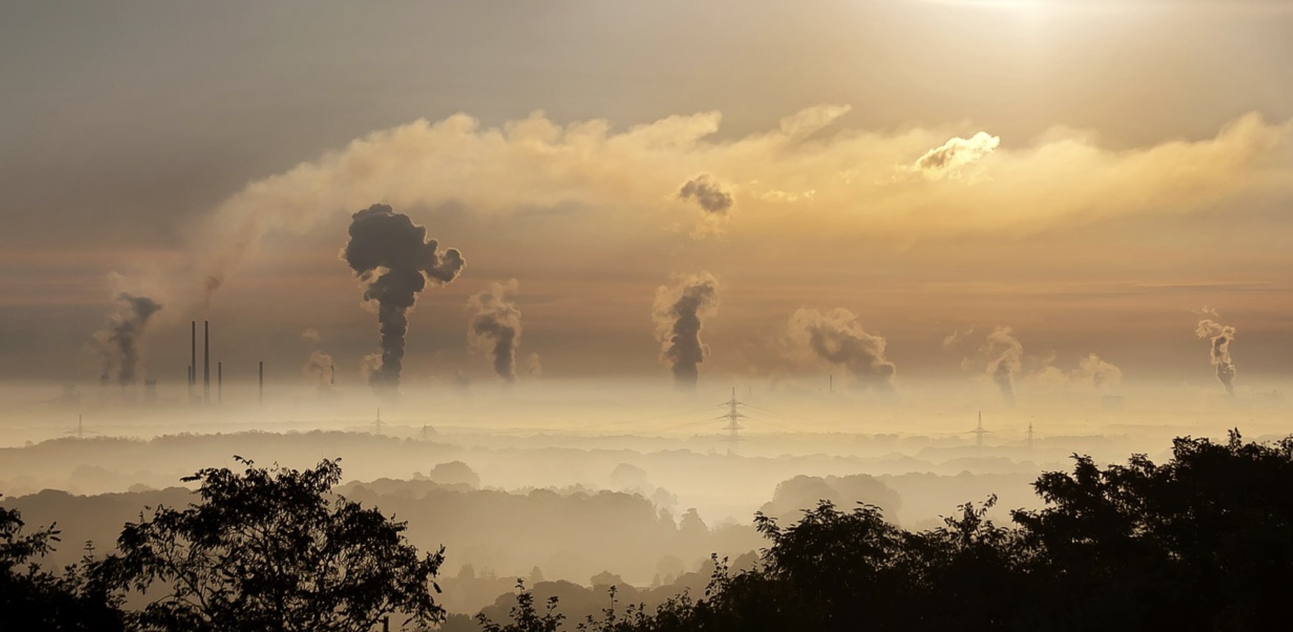 Pollution : une partie de la Bretagne et de la Normandie en alerte rouge