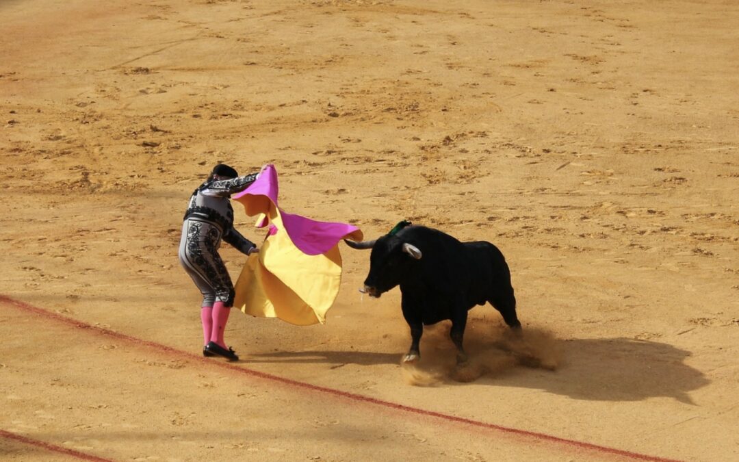 Tauromachie : la SPA lance une pétition pour abolir la corrida