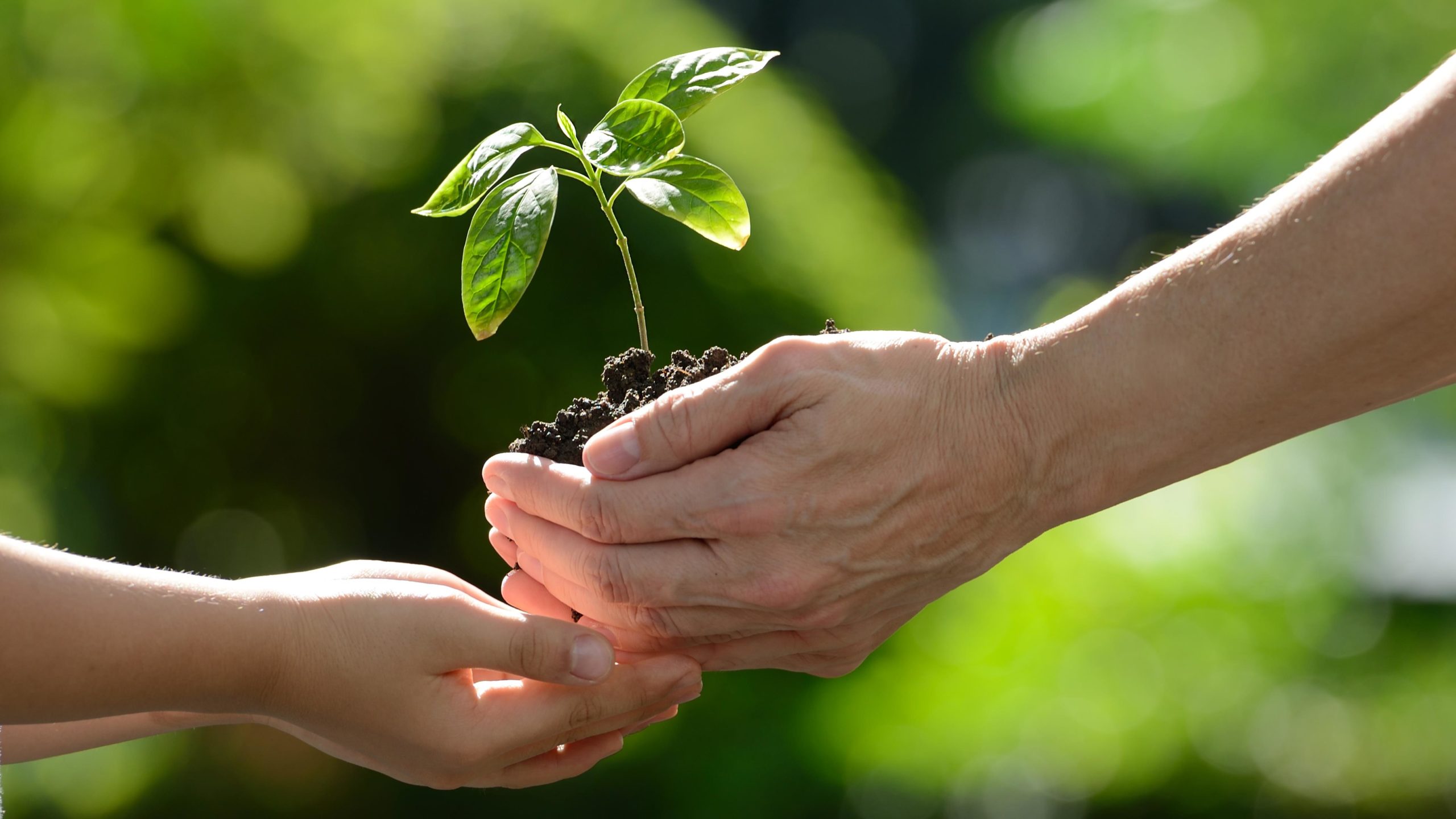 Quel est l’intérêt de requérir un évaluateur environnemental agréé ?