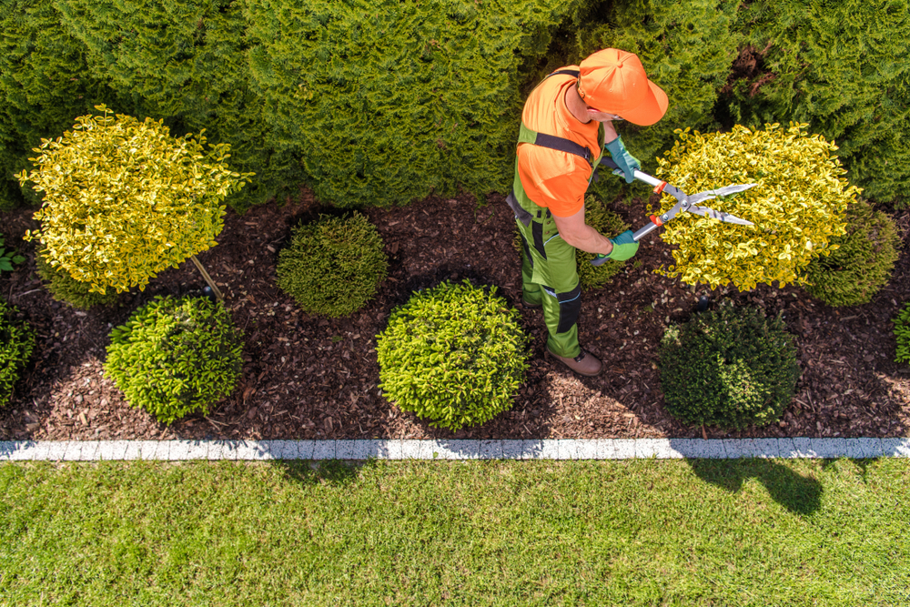 Entretien de jardin : et si vous faisiez une beauté à votre extérieur ?