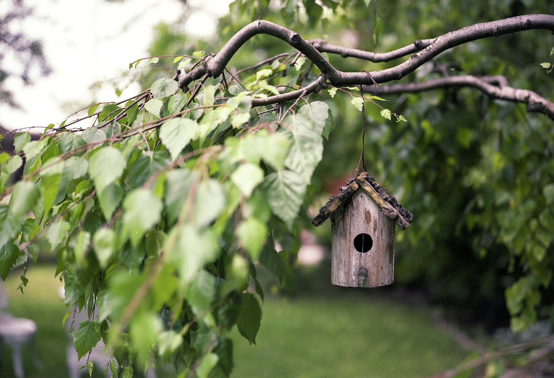 Comment avoir le jardin parfait