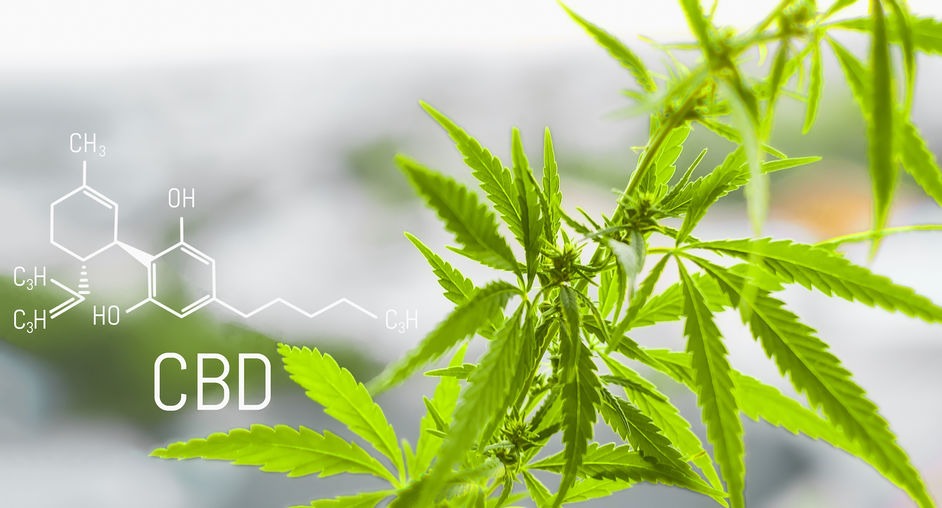 Quels sont les effets de la résine de CBD ?