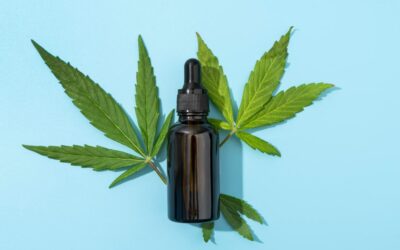 Les bienfaits thérapeutiques des fleurs de CBD