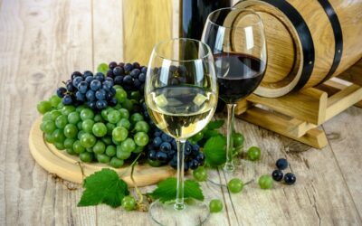 Investir dans le vin : une activité rentable ?