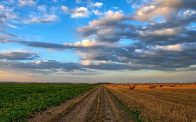 L’agriculture intensive et ses conséquences environnementales