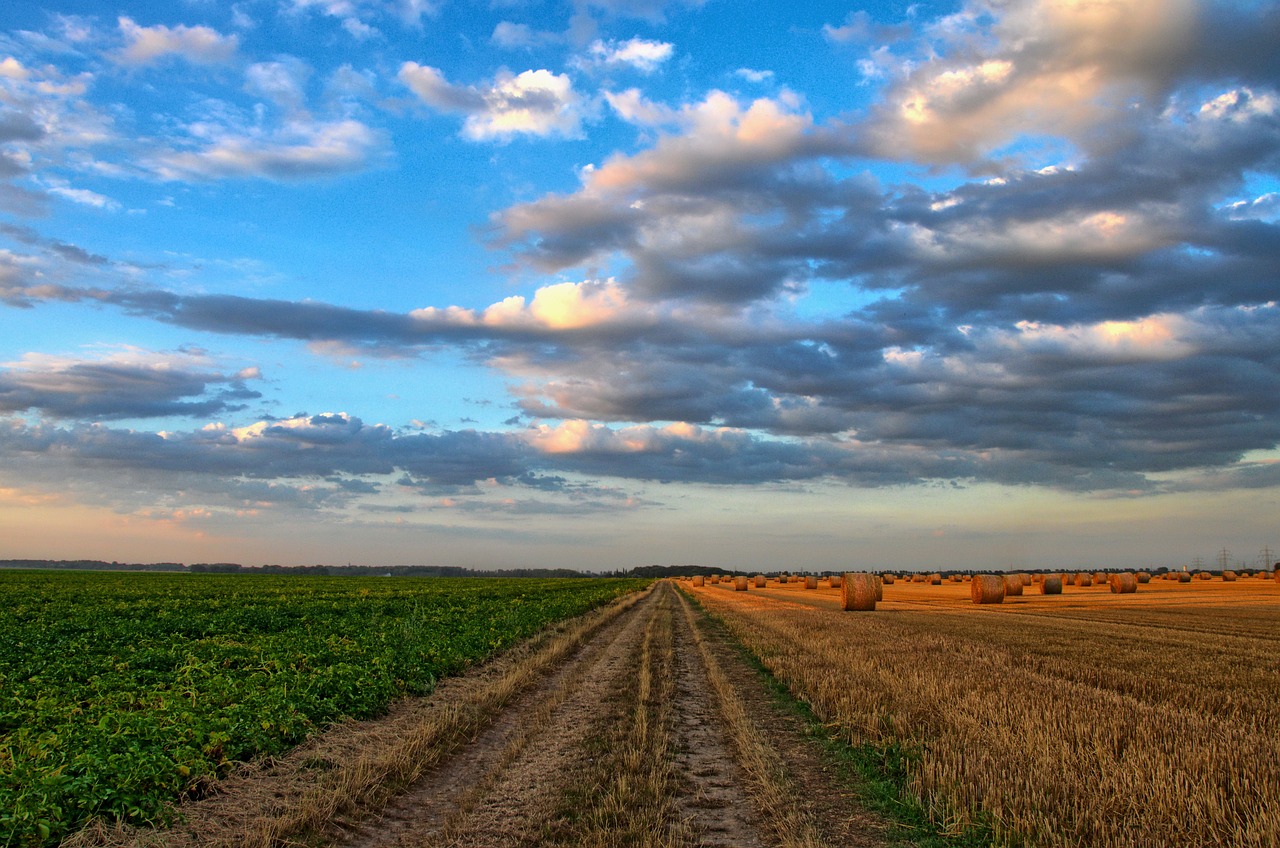 agriculture