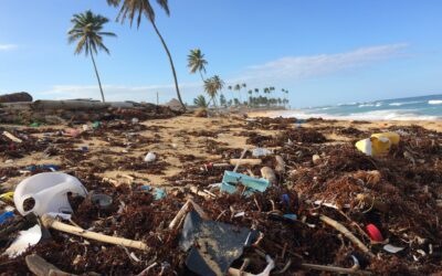 Recyclage des déchets : comment limiter votre empreinte carbone et préserver la planète ?