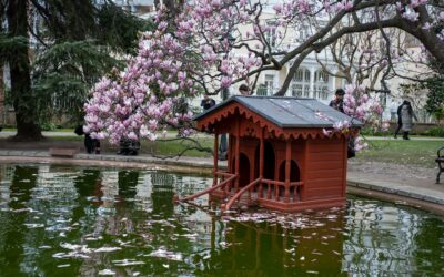 Quelques idées déco pour ton jardin