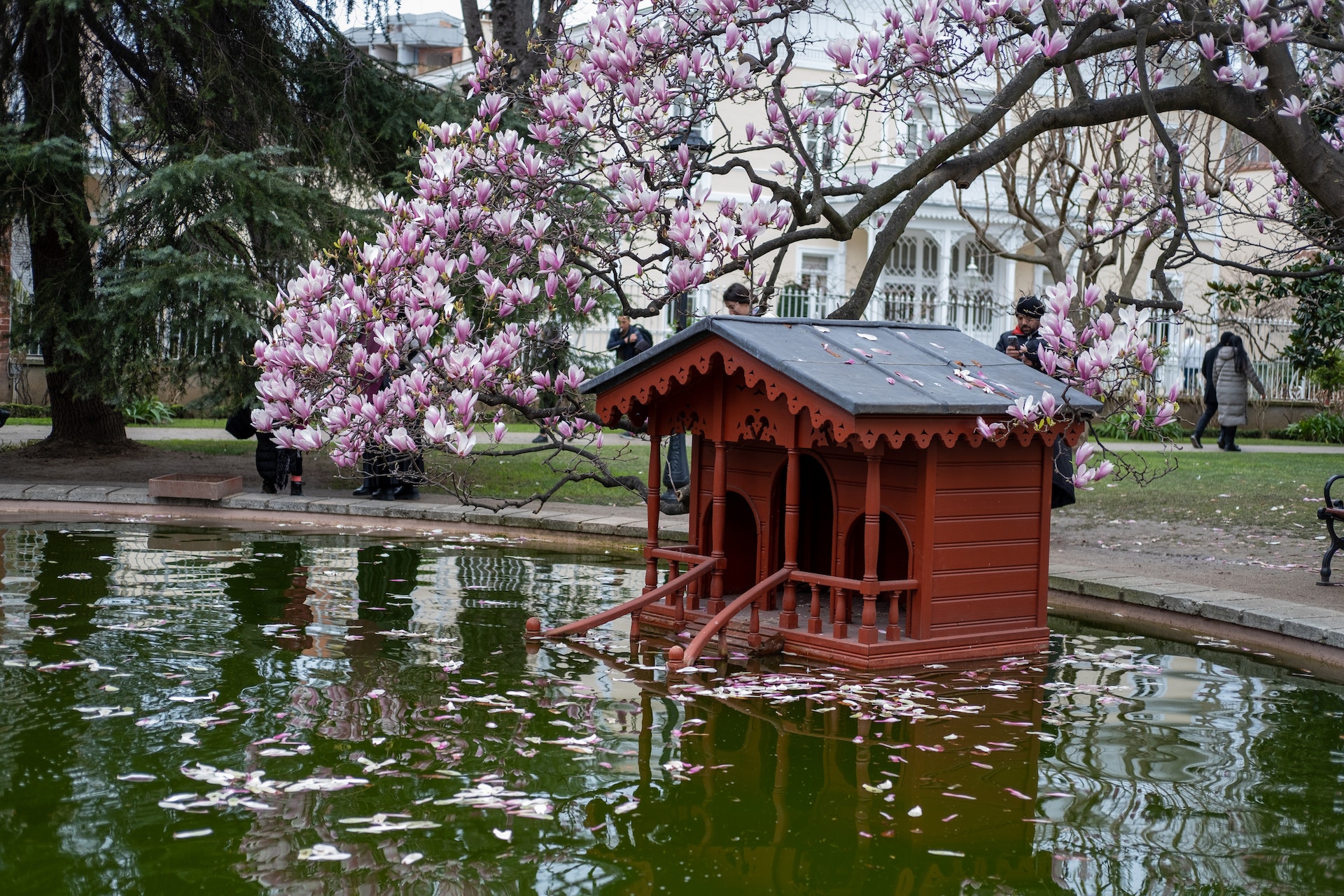 idée déco jardin